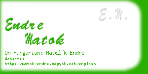 endre matok business card